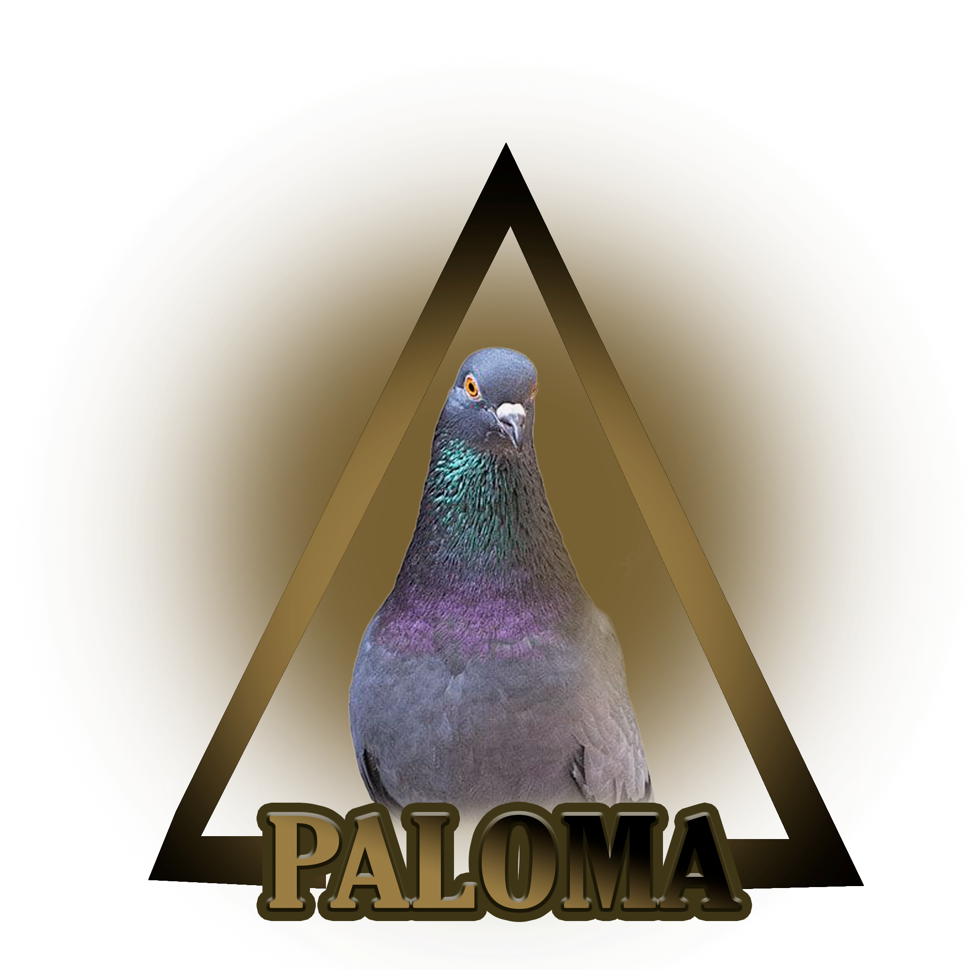 PALOMA